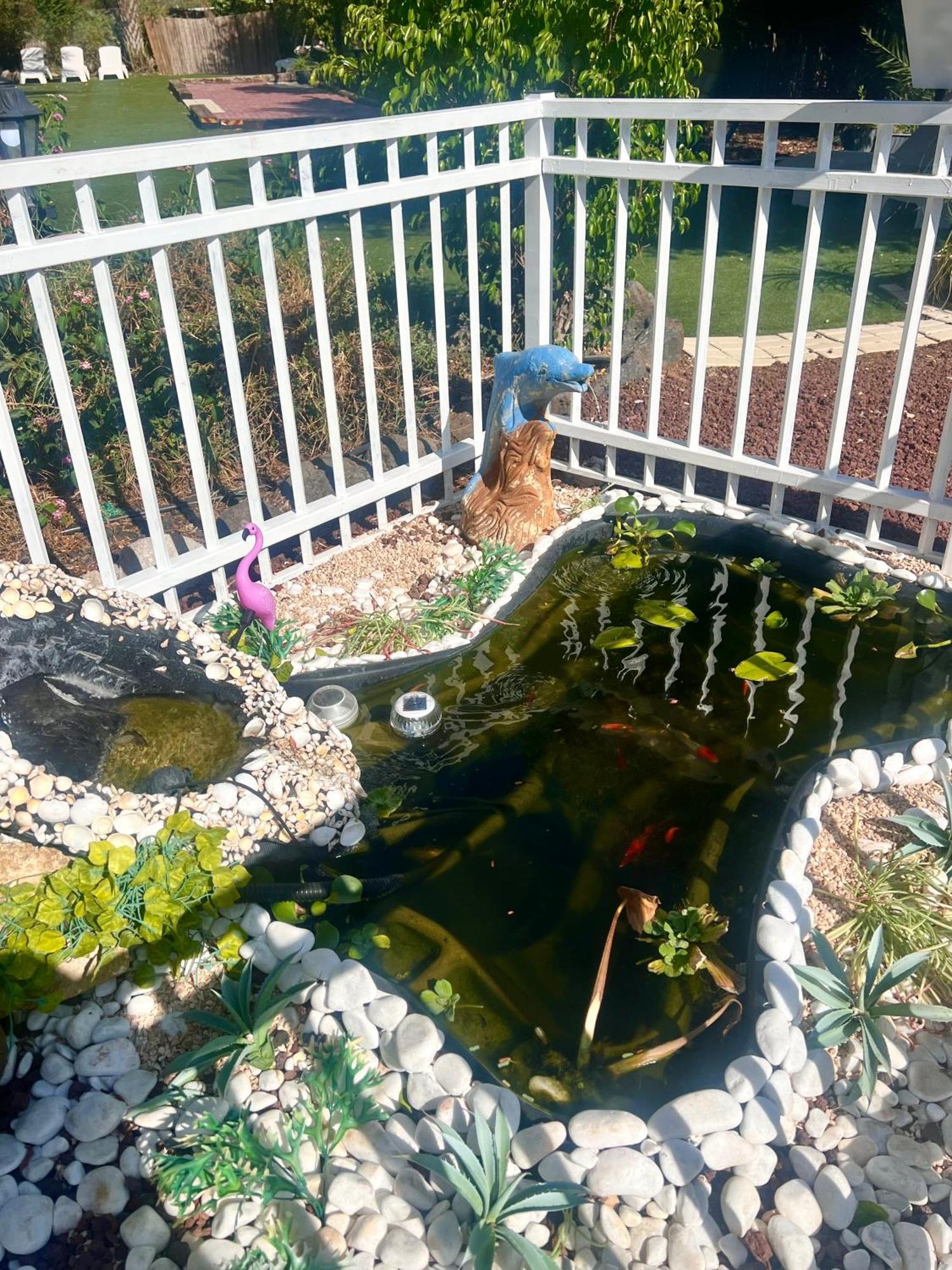 Magical In The Galilee Motel Kirjat Smóna Kültér fotó